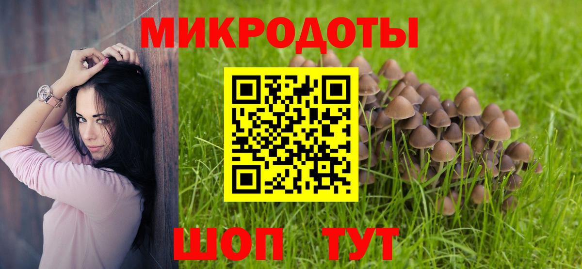 Псилоцибиновые грибы мухоморы Махачкала